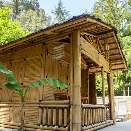 Suite Bambou Bien-Etre A Bali - Le Soleil Des Cevennes Saint-Jean-du-Gard Zewnętrze zdjęcie