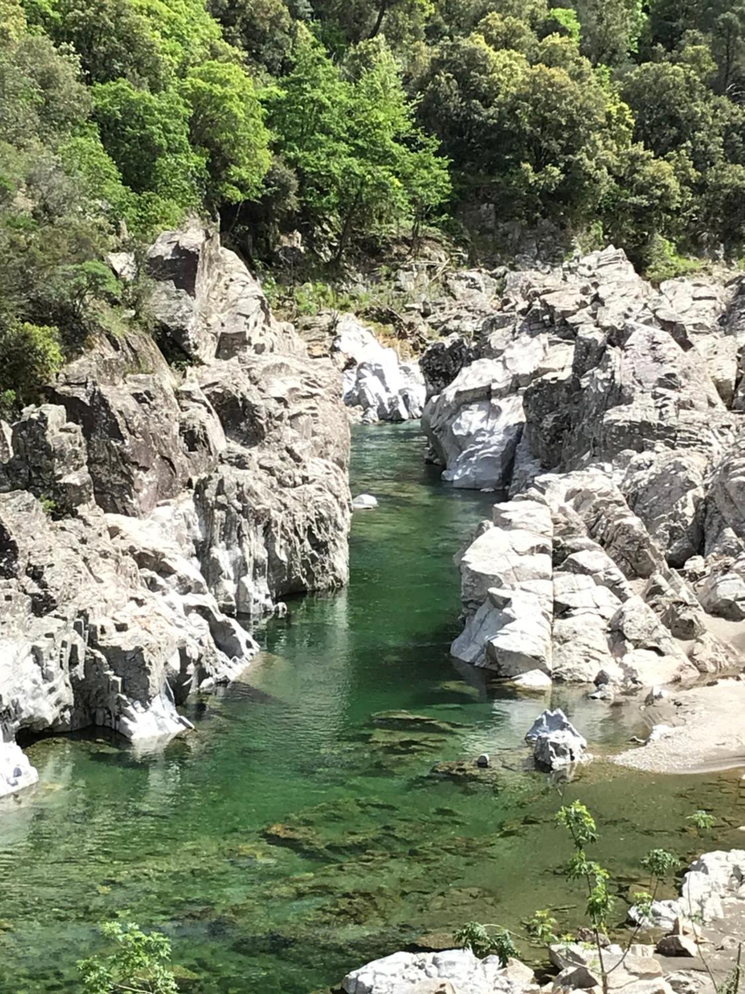 Suite Bambou Bien-Etre A Bali - Le Soleil Des Cevennes Saint-Jean-du-Gard Zewnętrze zdjęcie